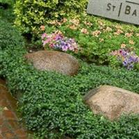 Saint Barbara Cemetery on Sysoon