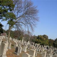 Saint Francis Cemetery on Sysoon