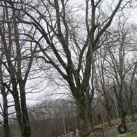 Saint Johns Cemetery on Sysoon