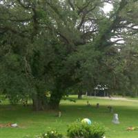 Saint Johns Cemetery (Van Vleck) on Sysoon
