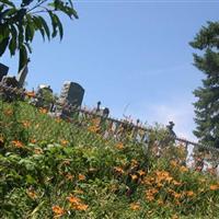 Saint Lukes Catholic Cemetery (Old) on Sysoon