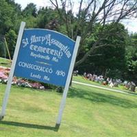 Saint Marys Assumption Cemetery on Sysoon