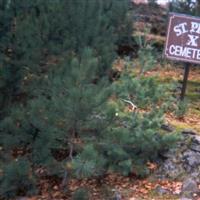 Saint Pious X Catholic Cemetery on Sysoon