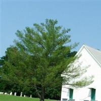 Salem Cemetery on Sysoon