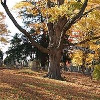 Salem-Walker Cemetery on Sysoon