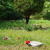 Saw Pit Hollow Road Cemetery on Sysoon