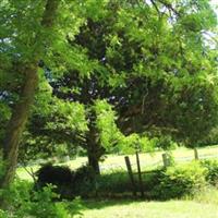 Scalf Cemetery on Sysoon