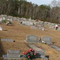 Shelton Cemetery on Sysoon