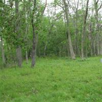 Smith-Johnson Cemetery on Sysoon