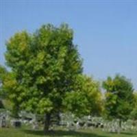 Sodus Rural Cemetery on Sysoon