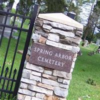 Spring Arbor Cemetery on Sysoon