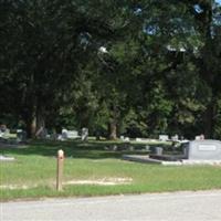 Spring Creek Baptist Church Cemetery on Sysoon