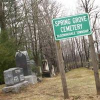 Spring Grove Cemetery on Sysoon