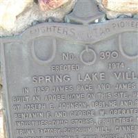 Spring Lake Cemetery (Defunct) on Sysoon