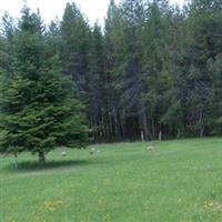 Spring Valley Mennonite Cemetery on Sysoon