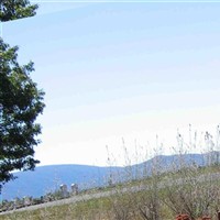 Springdale Cemetery on Sysoon