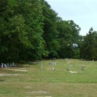 Springfield Baptist Church Community Cemetery on Sysoon