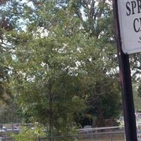 Springfield Cemetery on Sysoon