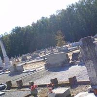 Bluff Springs Baptist Church Cemetery on Sysoon