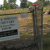 Blue Springs Baptist Church Cemetery on Sysoon