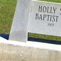 Holly Springs Baptist Church Cemetery on Sysoon