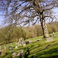 Springtown Cemetery on Sysoon