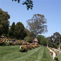 Springvale War Cemetery on Sysoon