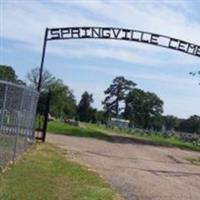 Springville Cemetery on Sysoon