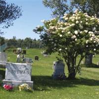 Stacyville Cemetery on Sysoon