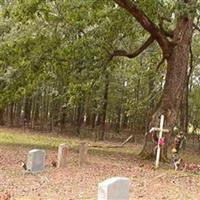 Strong African-American Cemetery on Sysoon