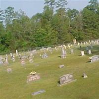 Strong Cemetery on Sysoon