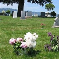 Summerville Cemetery on Sysoon