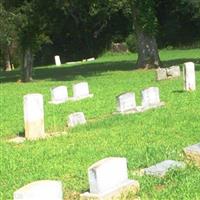 Sunflower Cemetery on Sysoon