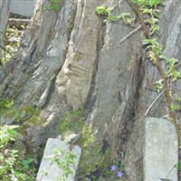 Swift Cemetery on Sysoon