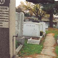 Talmud Torah Cemetery on Sysoon