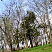 Taylor Cemetery on Sysoon