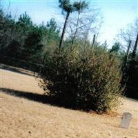 Taylor Cemetery on Sysoon