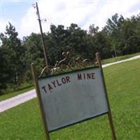 Taylor Mine Cemetery on Sysoon