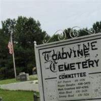 Toadvine Cemetery on Sysoon