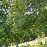 Travis Cemetery on Sysoon