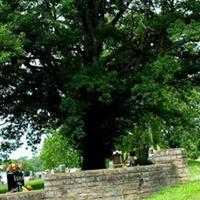 Tuscumbia Cemetery on Sysoon