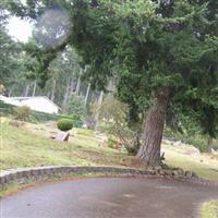 Twin Firs Cemetery on Sysoon