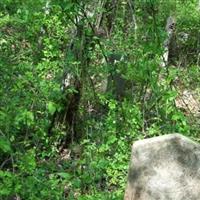 Tyler Cemetery on Sysoon