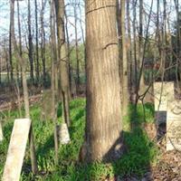 Union Baptist Cemetery on Sysoon