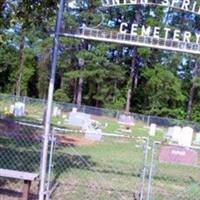 Union Springs Cemetery on Sysoon