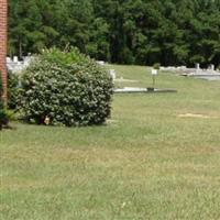 Pine Level United Methodist Church & Cemetery on Sysoon