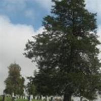 Vandalia Cemetery on Sysoon