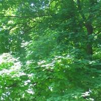 Vine Street Hill Cemetery on Sysoon