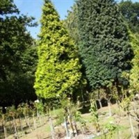 Vinters Park Crematorium Vinters Park Crematorium on Sysoon