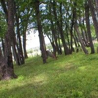 Vunk - Quick Burial Ground on Sysoon